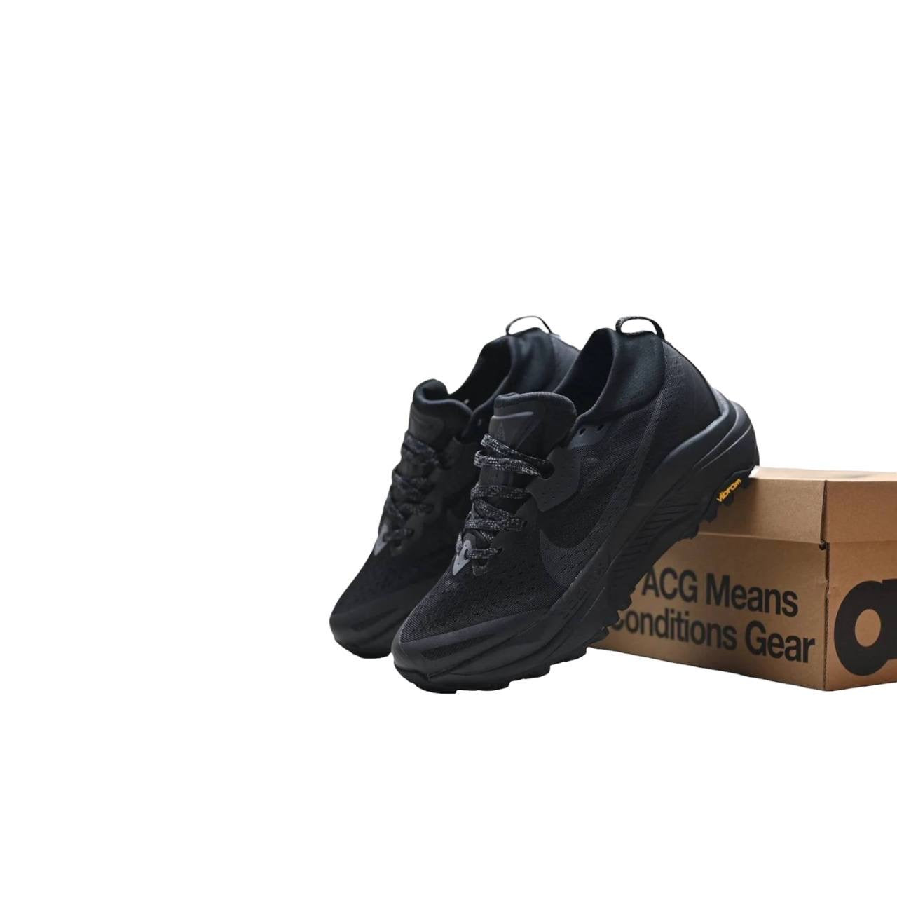 Маратонки ACG Zegama Trail 2